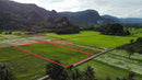 Tanah View Bukit dan Sawah Kurung Batang Perlis