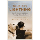 Blue Sky Lightning: How to Survive and Thrive When Life Blindsides You