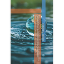 Water Security and the Sustainable Development Goals: Advancing Clean Water Access, Poverty Reduction, Public Health, Gender Equality, Sustainable Agr
