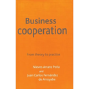 Business Cooperation: From Theory to Practice