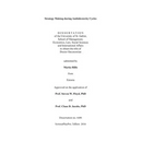 Strategy Making during Ambidexterity Cycles