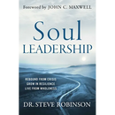 Soul Leadership: Rebound from Crisis, Grow in Resilience, Live from Wholeness
