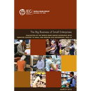 The Big Business of Small Enterprises
