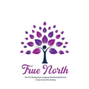 True North The NLP & Hypnotic Language Manifesting Planner - Create Your Own Destiny