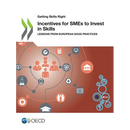 Incentives for SMEs to Invest in Skills