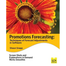 Promotions Forecasting: Forecast Adjustment Techniques in Software