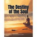 The Destiny of the Soul, Vol IV