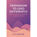 Permission to Lead Differently: Eight Countries. One Awakening. A New Way to Lead