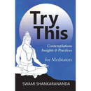 Try This: Contemplations Insights & Practices for Meditators