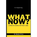 What Now?: Living in a world without jobs