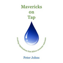 Mavericks on Tap: creating organisations that deliver awesome outcomes