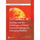 Dealing with the Challenges of Macro Financial Linkages in Emerging Markets