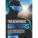 Treacherous Waters: A Study on How to Guide Your Business When Working With Immersive Technology