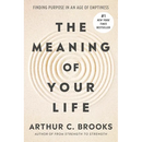 The Meaning of Your Life: Finding Purpose in an Age of Emptiness