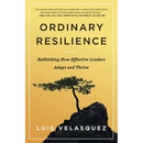 Ordinary Resilience: Rethinking How Effective Leaders Adapt and Thrive