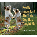 Really Important Stuff My Dog Has Taught Me