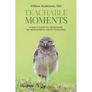 Teachable Moments: Lessons to Enrich Our Mental Health, Our Spiritual Journey and Our Relationships