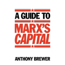 A Guide to Marx's 'Capital'