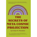 The Secrets of Meta-Cosmic Projection