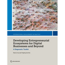 Developing Entrepreneurial Ecosystems for Digital Businesses and Beyond: A Diagnostic Toolkit
