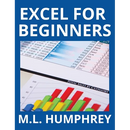 Excel for Beginners