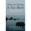 When the Hurting Is Too Much: A Guide to Contemplative Prayer to Help You Walk with Grief
