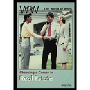 Real Estate Agent