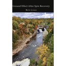 Ground Effect After Spin Recovery