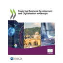 Fostering Business Development and Digitalisation in Georgia