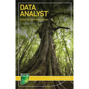 Data Analyst: Careers in data analysis