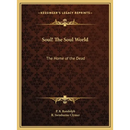 Soul! The Soul World: The Home of the Dead