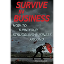 Survive in Business: How to Turn Your Struggling Business Around