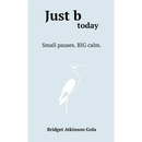 Just b today: Small Pauses. BIG Calm.