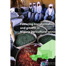 Fostering Transformation and Growth in Niger's Agricultural Sector