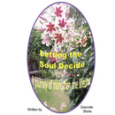 Letting the Soul Decide: A journey of more than one lifetime