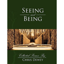 Seeing and Being