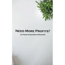 Need More Profits? No Prior Investments Required