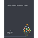 Energy Demand Challenges in Europe
