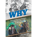 Why: Discovering Your Essence Is Important for a Life of Meaning
