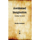 Awakened Imagination