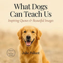 What Dogs Can Teach Us: Inspiring Quotes & Beautiful Images