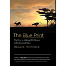 The Blue Print: The Keys to Making BIG Money in Professional Sales