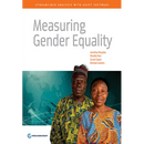 Measuring Gender Equality: Streamlined Analysis with Adept Software
