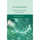 Sme Cluster Development: A Dynamic View of Survival Clusters in Developing Countries