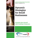 Dynamic Strategies for Small Businesses