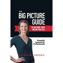 The Big Picture Guide to Building Your Dream Practice: Powerful Lessons for Professionals