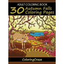 Adult Coloring Book: 30 Autumn Falls Coloring Pages