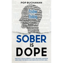 Sober Is Dope: Protect Your Sobriety: Why Relapse Happens and How the Brain and Nervous System Heal