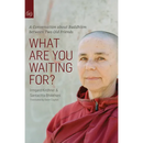 What Are You Waiting For?: A Conversation about Buddhism Between Two Old Friends