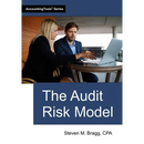 The Audit Risk Model